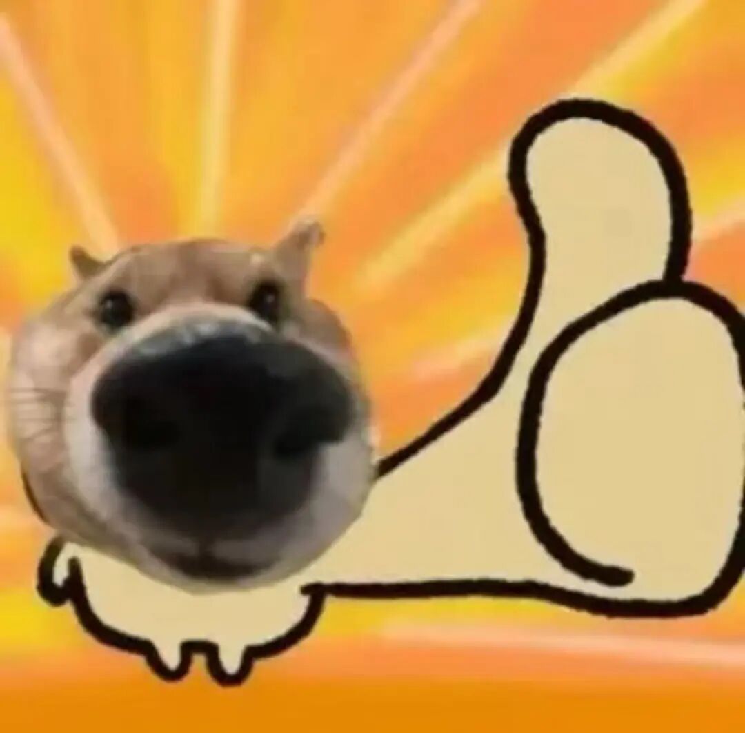 2026「最适合中产家庭」的美国大学！范德堡一飞冲天，NYU消失不见.....  数据 第2张